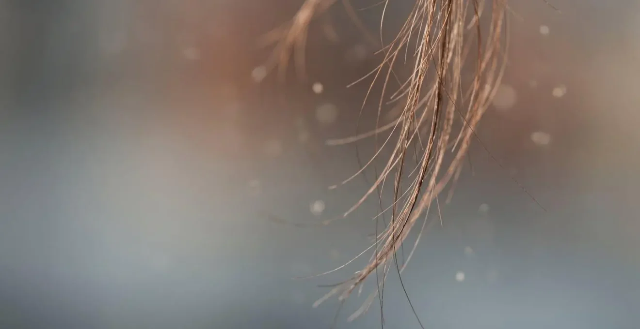 Illustrazione concettuale che rappresenta l'impatto dello stress sui follicoli piliferi e il ciclo di vita dei capelli